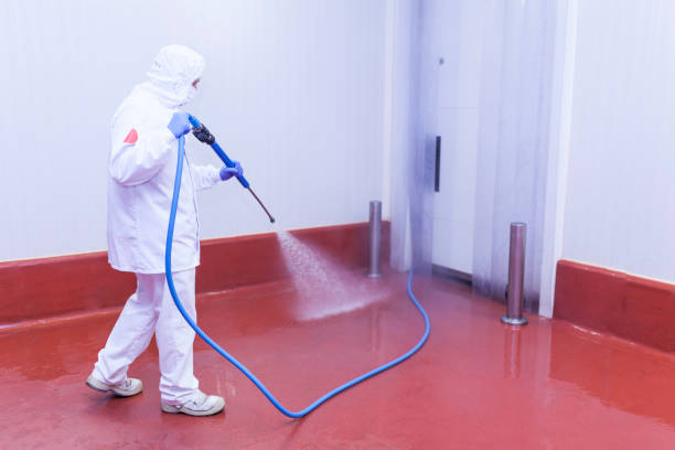 Best Roof Washing  in Clarksville, IN